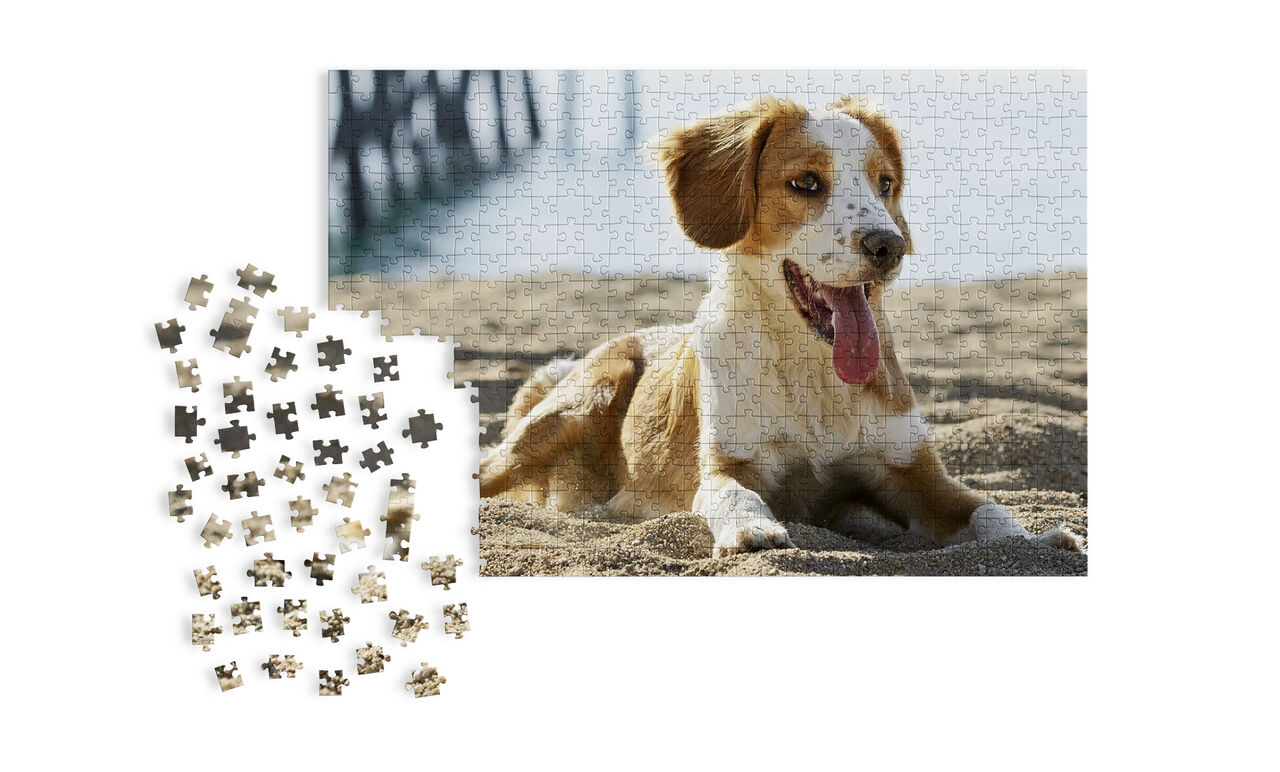 Puzzel met een hond in het zand op het strand, puzzelstukken op de voorgrond